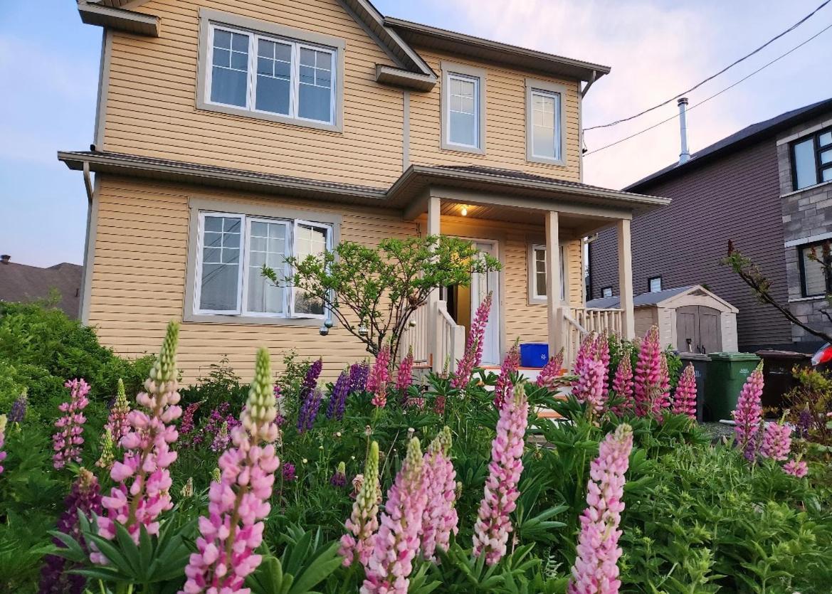 Maison Chaleureuse, Energetique Et Florale Sherbrooke Eksteriør billede